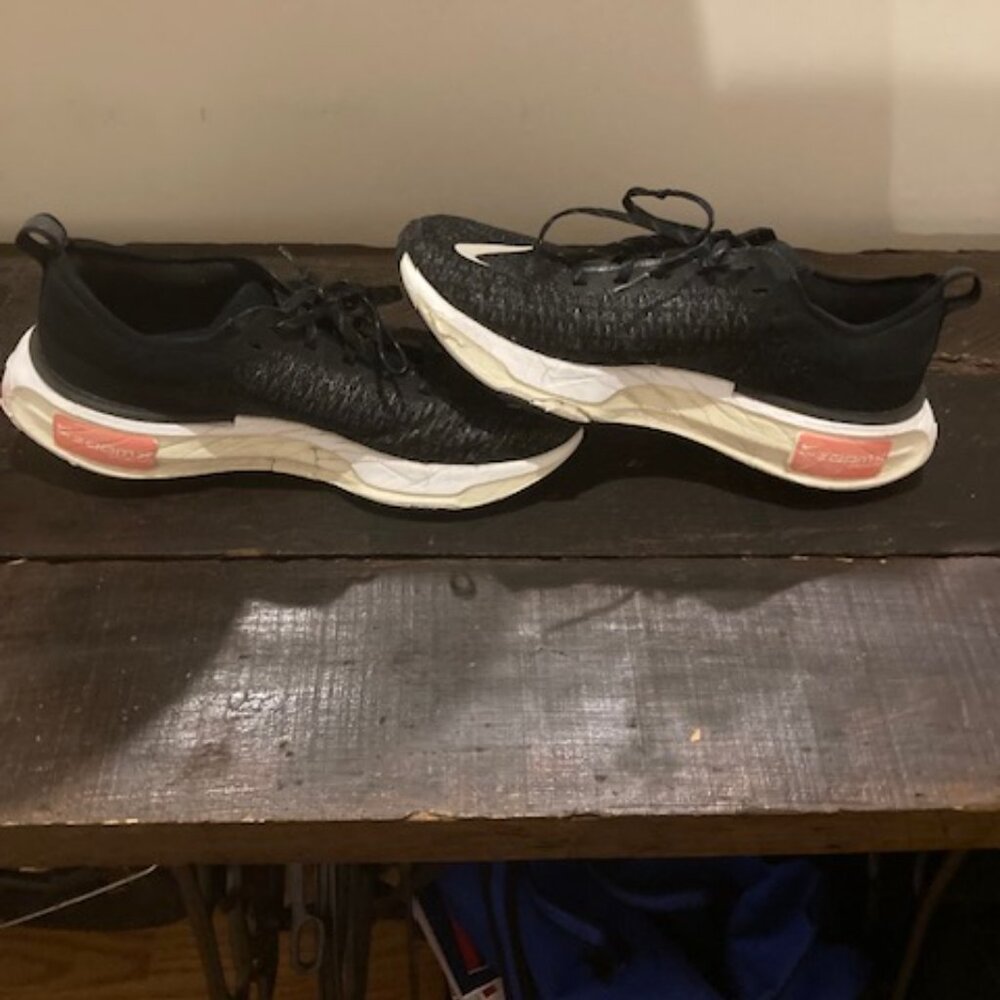 nike zoomx